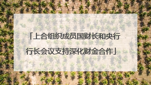 上合组织成员国财长和央行行长会议支持深化财金合作