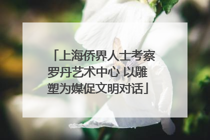 上海侨界人士考察罗丹艺术中心 以雕塑为媒促文明对话
