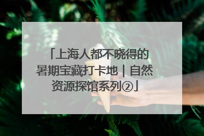 上海人都不晓得的 暑期宝藏打卡地｜自然资源探馆系列②