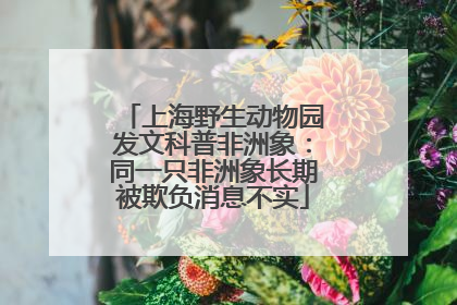 上海野生动物园发文科普非洲象：同一只非洲象长期被欺负消息不实