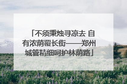 不须秉烛寻凉去 自有浓荫覆长街——郑州城管精细呵护林荫路