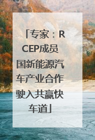 专家：RCEP成员国新能源汽车产业合作驶入共赢快车道