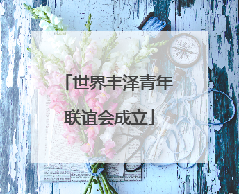 世界丰泽青年联谊会成立