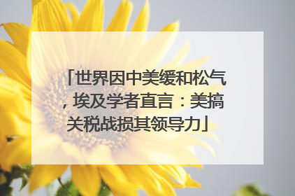 世界因中美缓和松气，埃及学者直言：美搞关税战损其领导力