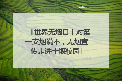 世界无烟日丨对第一支烟说不，无烟宣传走进十堰校园