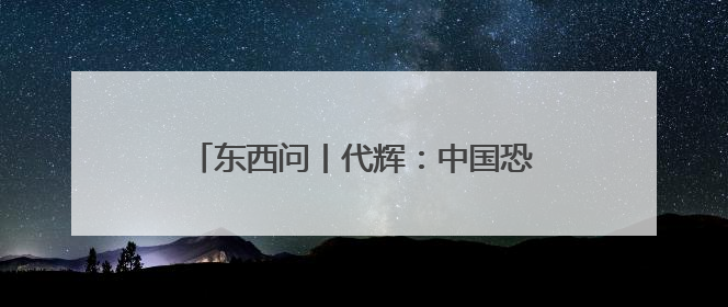 东西问丨代辉：中国恐龙化石如何对话世界？
