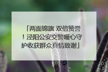 两面锦旗 双倍赞誉！泾阳公安交警暖心守护收获群众真情致谢