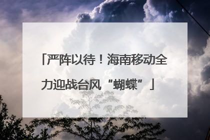 严阵以待！海南移动全力迎战台风“蝴蝶”