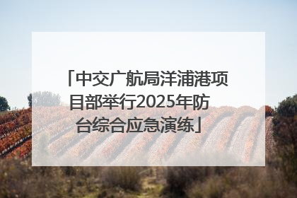 中交广航局洋浦港项目部举行2025年防台综合应急演练