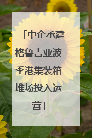中企承建格鲁吉亚波季港集装箱堆场投入运营