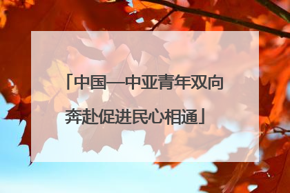 中国—中亚青年双向奔赴促进民心相通