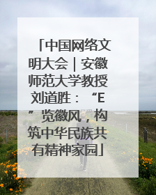 中国网络文明大会｜安徽师范大学教授刘道胜：“E”览徽风，构筑中华民族共有精神家园