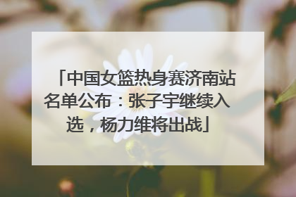 中国女篮热身赛济南站名单公布：张子宇继续入选，杨力维将出战