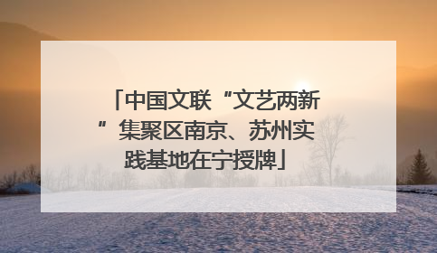 中国文联“文艺两新”集聚区南京、苏州实践基地在宁授牌