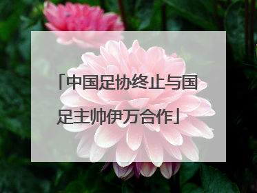 中国足协终止与国足主帅伊万合作
