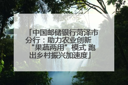中国邮储银行菏泽市分行：助力农业创新 “果蔬两用”模式 跑出乡村振兴加速度