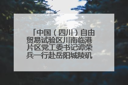 中国（四川）自由贸易试验区川南临港片区党工委书记谭荣兵一行赴岳阳城陵矶综保区考察