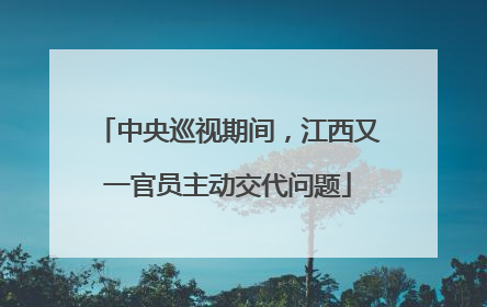 中央巡视期间，江西又一官员主动交代问题
