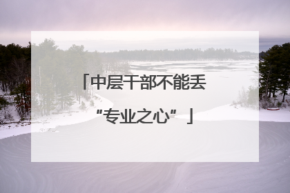 中层干部不能丢“专业之心”