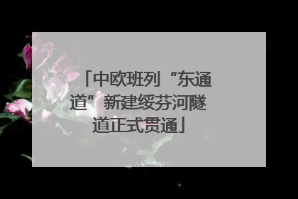 中欧班列“东通道”新建绥芬河隧道正式贯通