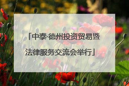 中泰·德州投资贸易暨法律服务交流会举行