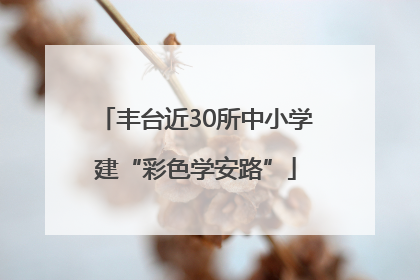 丰台近30所中小学建“彩色学安路”