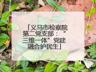义马市检察院第二党支部：“三维一体”党建融合护民生
