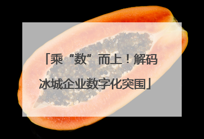 乘“数”而上！解码冰城企业数字化突围