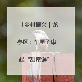 乡村振兴｜龙亭区：车厘子串起“甜蜜链”