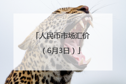 人民币市场汇价（6月3日）