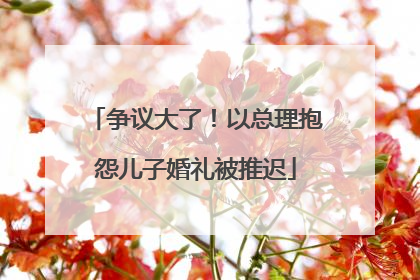 争议大了！以总理抱怨儿子婚礼被推迟