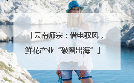 云南师宗：借电驭风，鲜花产业“破圈出海”