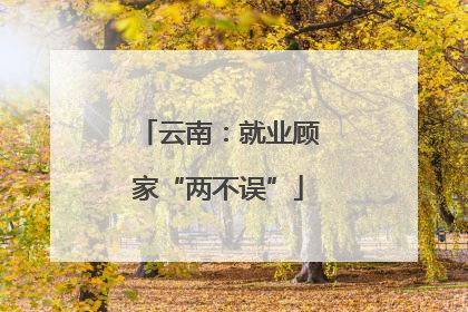 云南：就业顾家“两不误”
