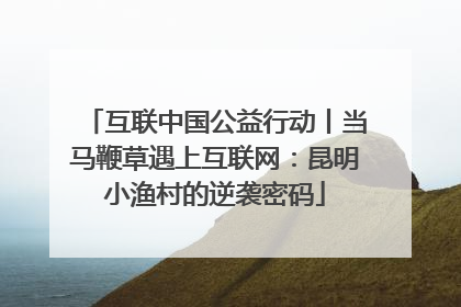 互联中国公益行动丨当马鞭草遇上互联网：昆明小渔村的逆袭密码