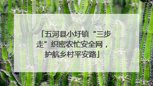五河县小圩镇“三步走”织密农忙安全网，护航乡村平安路