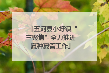 五河县小圩镇“三聚焦”全力推进夏种夏管工作