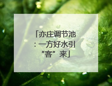 亦庄调节池：一方好水引“客”来