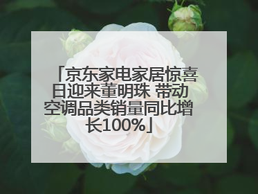 京东家电家居惊喜日迎来董明珠 带动空调品类销量同比增长100%