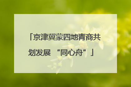 京津冀蒙四地青商共划发展 “同心舟”