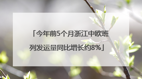 今年前5个月浙江中欧班列发运量同比增长约8%