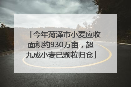 今年菏泽市小麦应收面积约930万亩，超九成小麦已颗粒归仓