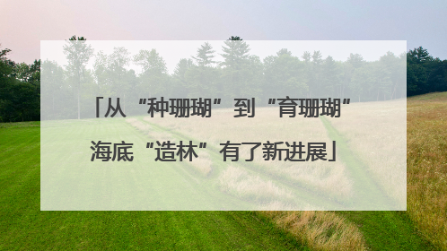 从“种珊瑚”到“育珊瑚” 海底“造林”有了新进展
