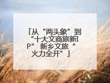 从“两头象”到“十大文商旅新IP” 新乡文旅“火力全开”