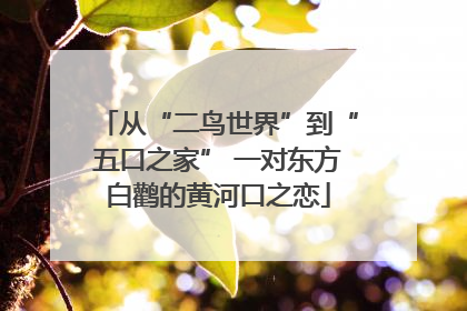 从“二鸟世界”到“五口之家” 一对东方白鹳的黄河口之恋
