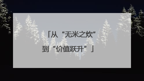 从“无米之炊”到“价值跃升”
