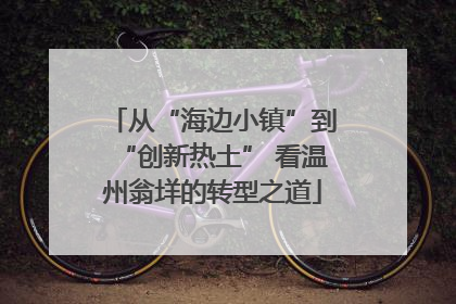 从“海边小镇”到“创新热土” 看温州翁垟的转型之道