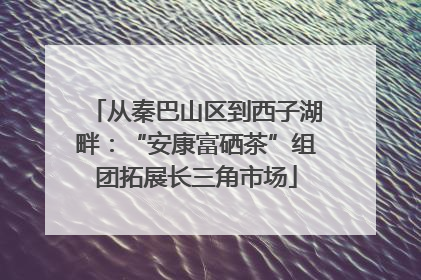 从秦巴山区到西子湖畔：“安康富硒茶”组团拓展长三角市场