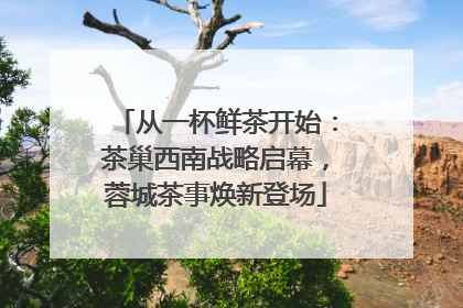 从一杯鲜茶开始：茶巢西南战略启幕，蓉城茶事焕新登场