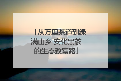 从万里茶道到绿满山乡 安化黑茶的生态致富路