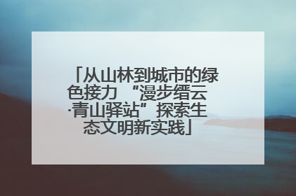 从山林到城市的绿色接力 “漫步缙云·青山驿站”探索生态文明新实践